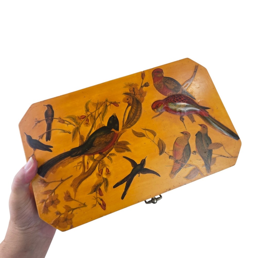Vtg 60s Large Mid-Century 3D Decoupage Tropical Bird Wood Keepsake Chest Velvet